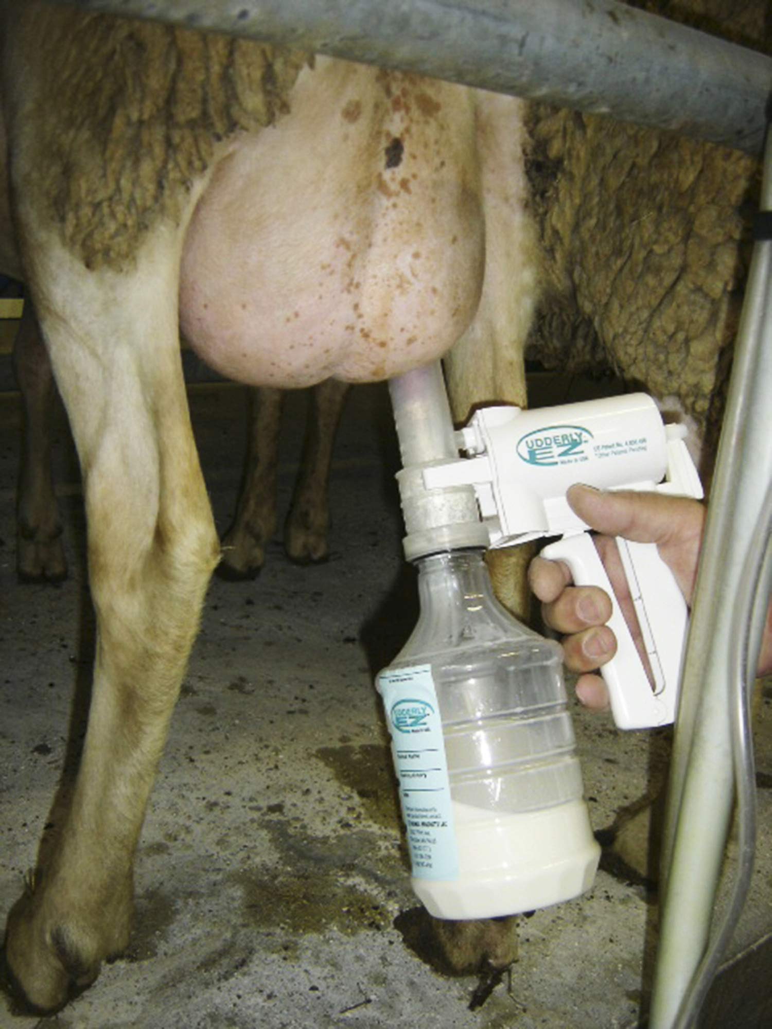 Melkpumpe f. Schafe im Zubehörset
