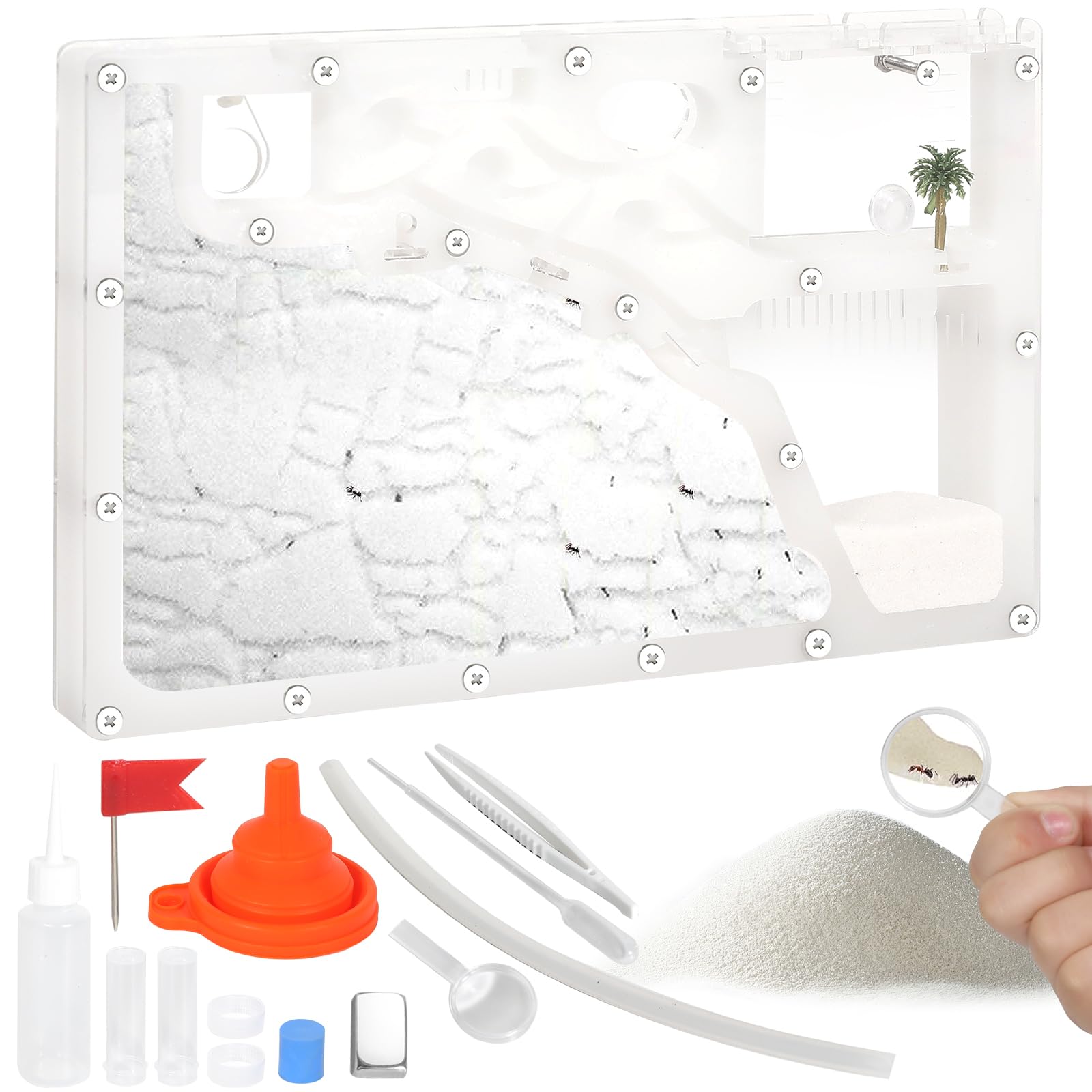 Amazon.com: Blevla Ant Farms with Connections, Ant Farms, Live