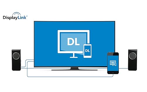DisplayLink Presenter