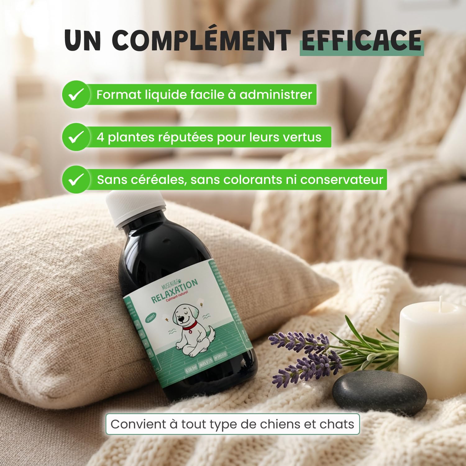 Museau & Co Anti-Stress Chien Chat - Complément Calmant Anxiété & Feux d'artifice - Valériane Passiflore Griffonia Houblon - Liquide Pipette - Formulé par des Vétérinaires - Fabriqué en France