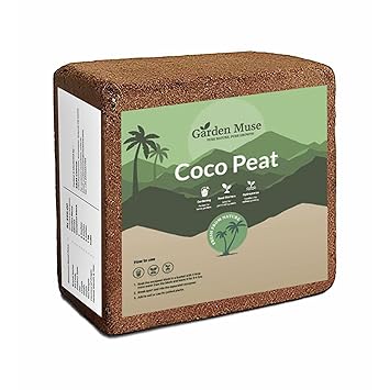 Garden Muse Cocopeat Block 1Kg for Garden use - image, photos
