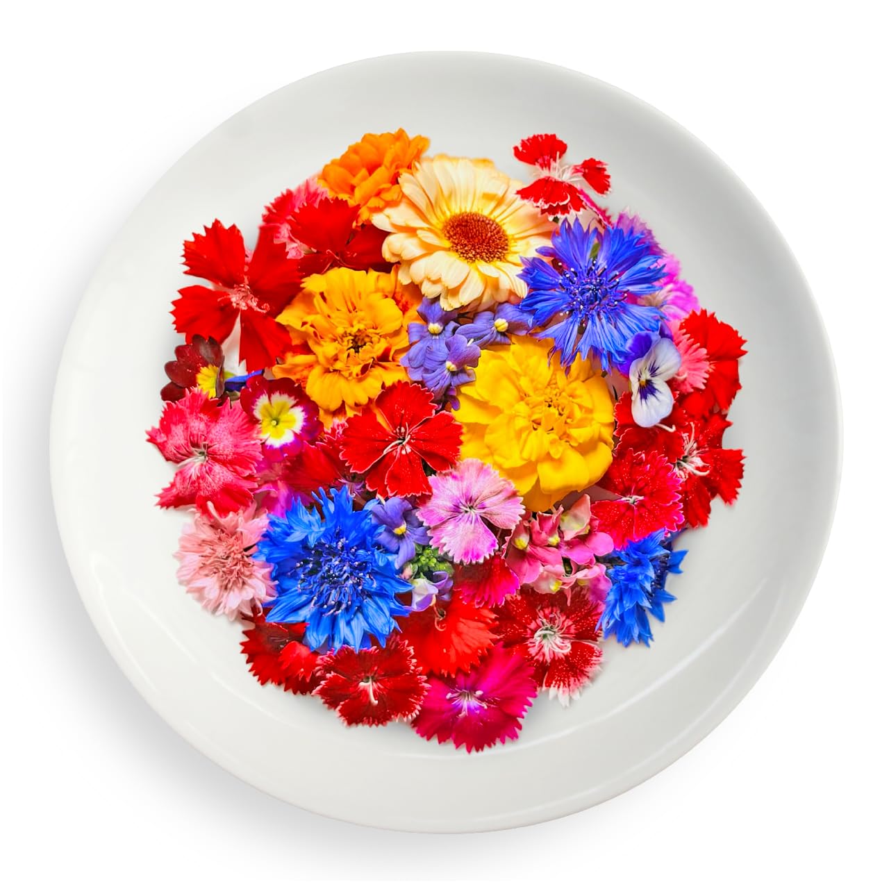 Amazon.co.jp: 【食べられるお花詰め合わせ】エディブルフラワー・化学
