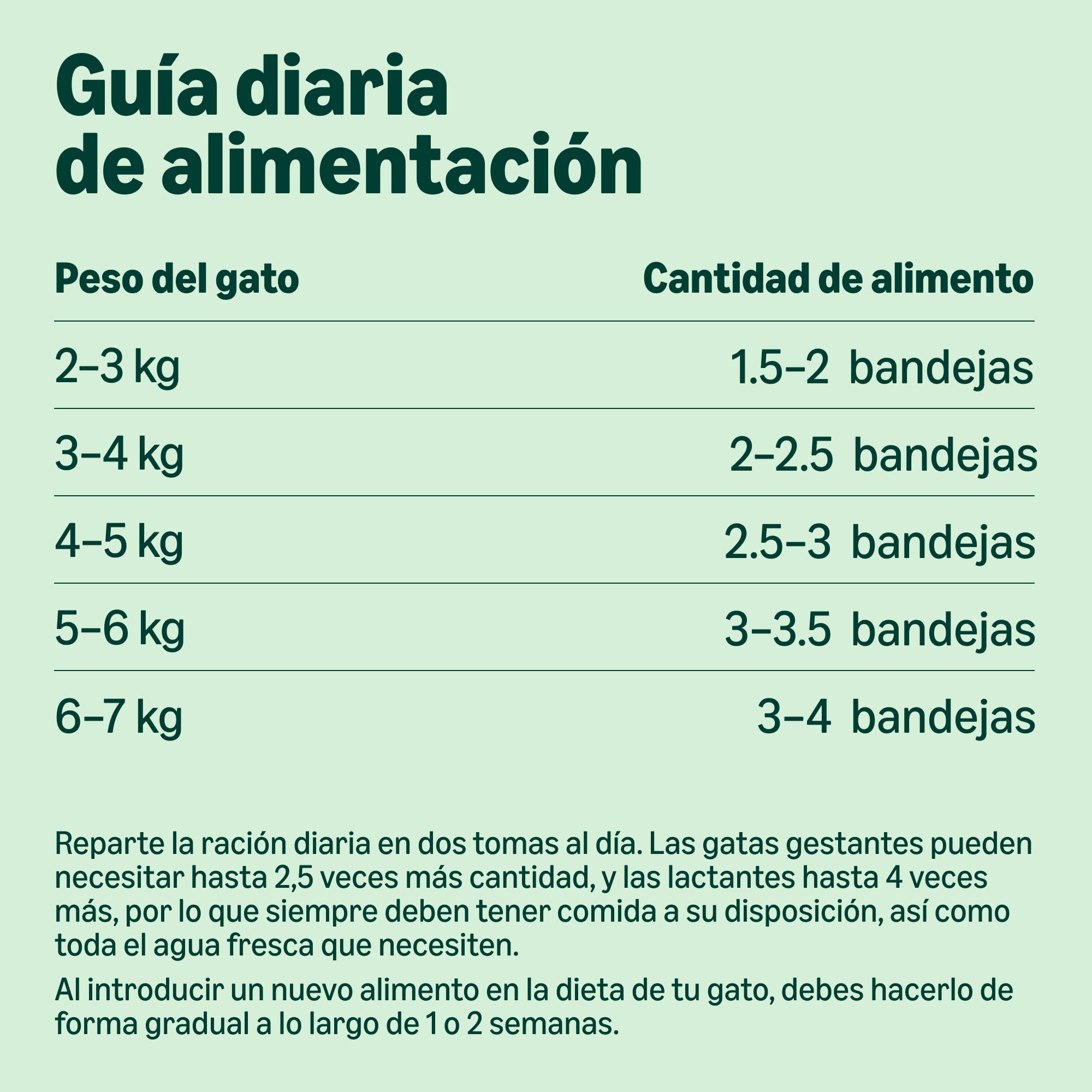Comida Húmeda para Gatos by Amazon, Paté Mixto, 100g, Paquete de 32
