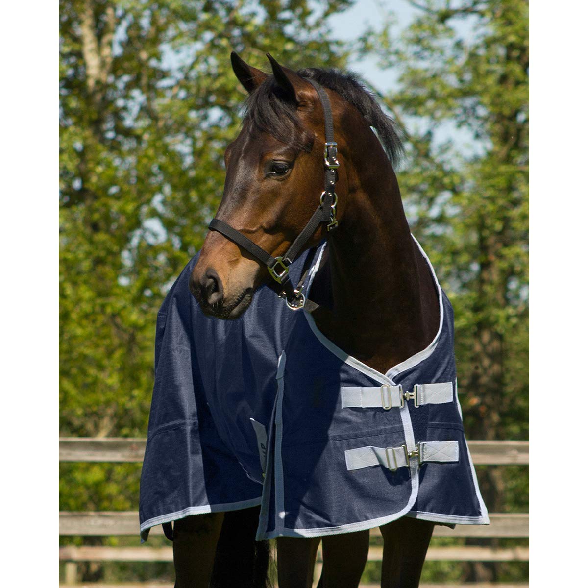 QHP Manta Impermeable y Polar para Caballos Turnout 300g