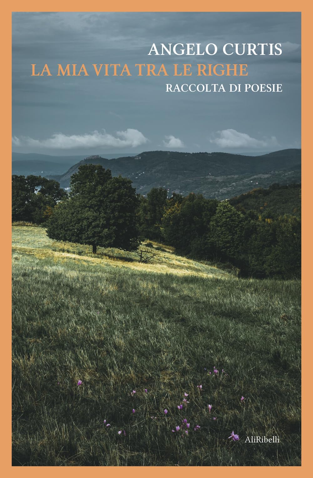 La mia vita tra le righe