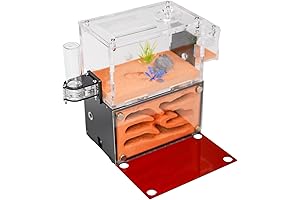 Educational Formicarium Ant Farm Terrarium: Study Ant Behavior with a Live Ant Habitat