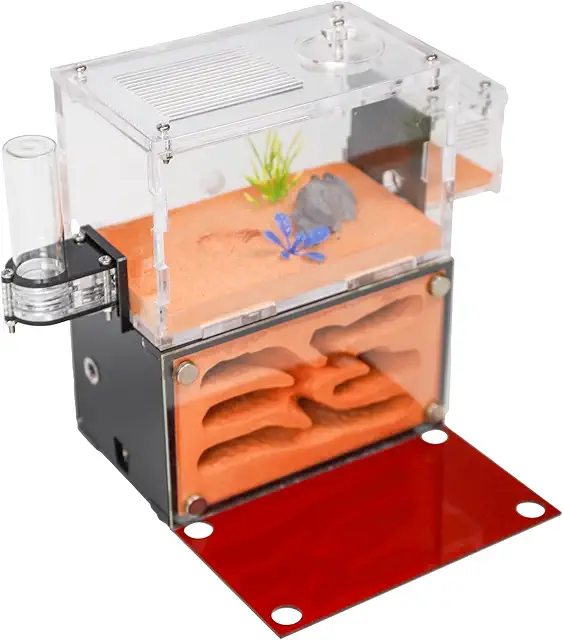 Rimsunta Ameisenfarm für Erwachsene - Formicarium mit zwei Etagen, Ameisennest