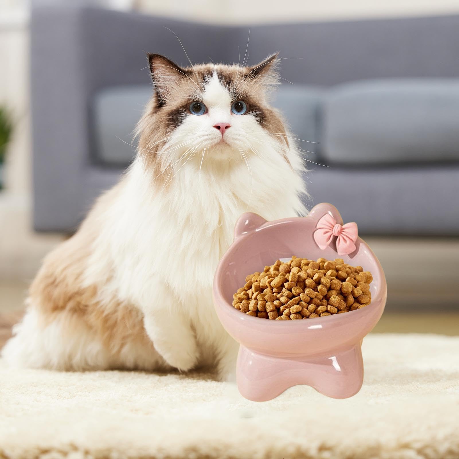Cuenco Elevado para Gatos de cerámica, Alto Inclinado para Perros, para Mascotas a Prueba de Fugas para Gatos en Interiores, pequeños Gatitos para Perros, Elevado para Gatos
