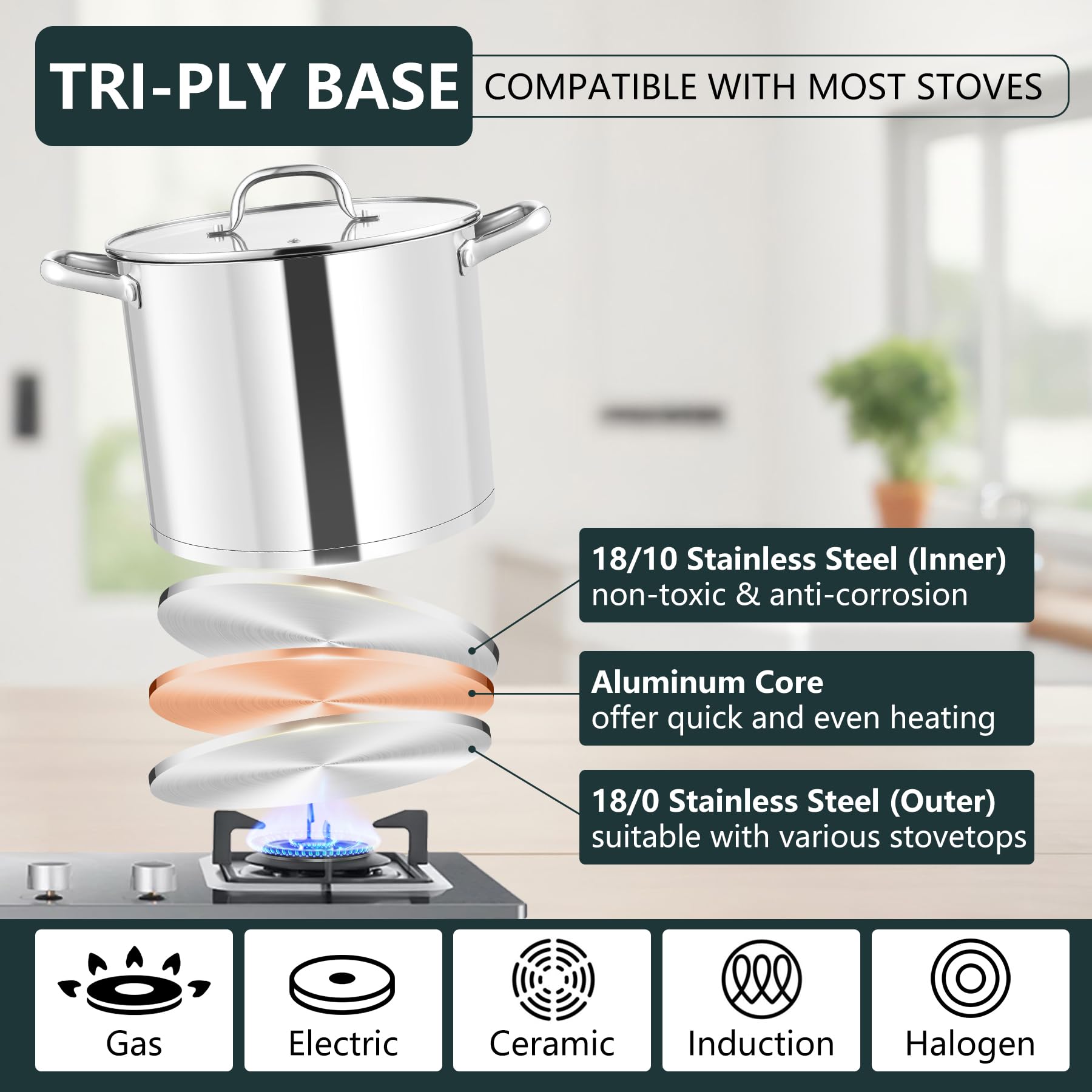 HaWare Pentola grande da 10 l, fondo a tre strati in acciaio inox con coperchio visibile, pentola da 24 cm per pasta/carne/zuppe, adatta per induzione/elettrico/gas/ceramica, sana e facile da pulire