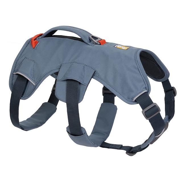 RUFFWEAR Web Master, Arnés Multiusos para Perro con asa Seguro y Ajustable, arnés antiescape