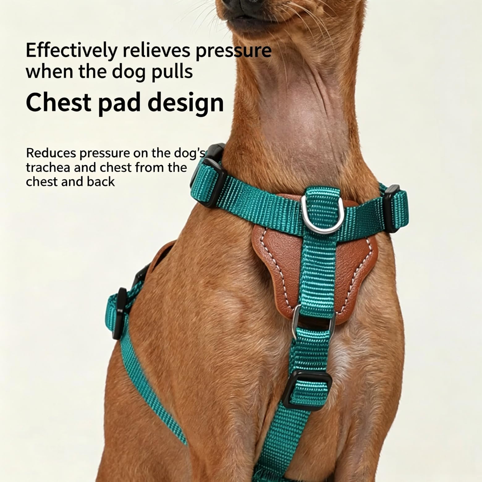 Arnés ajustable para perros en forma de H – Chaleco antitracción con 2 anillos de lino, acolchado transpirable, resistente al desgaste para entrenamiento y paseos, rojo, L