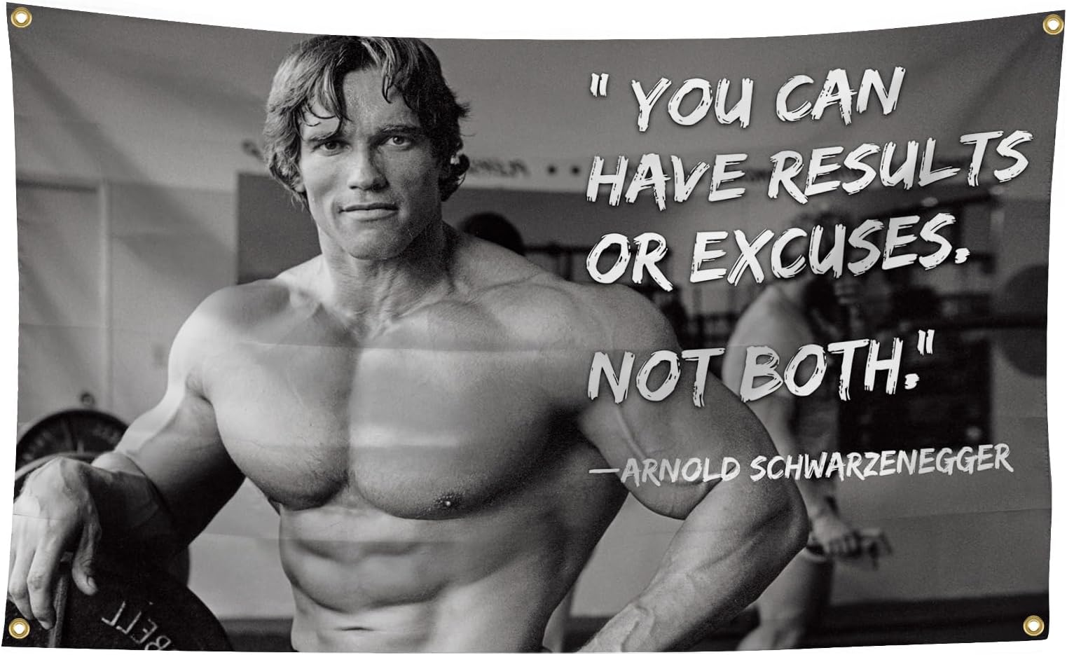 Arnold Schwarzenegger You Can Have Results Or Excuses. Not Both. 3x5 Feet Flag Inspirational Poster Durable Man Cave Wall Flag with Brass Grommets This beautiful entertaining banner flag for College