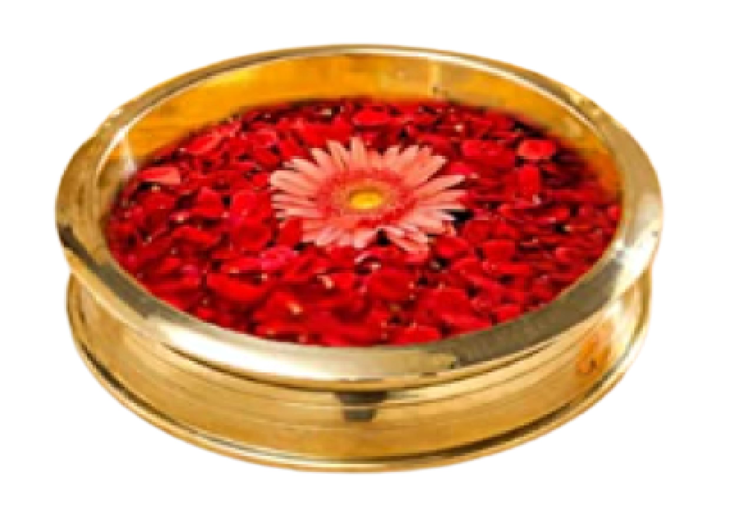 Best Baking Utensils Traditional Home Decor Brass Solid Uruli Decorative Bowl (Golden, Diameter 6 Inch) - Pack of 1