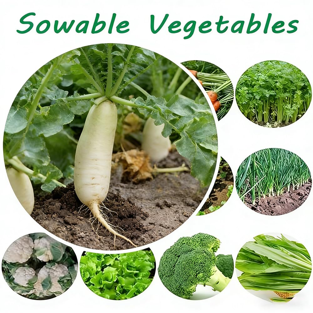 Sembradora manual de hortalizas, sembradora de precisión para jardines pequeños, distancia entre filas ajustable y profundidad para una siembra óptima de perejil, col, maní, maíz, puerro, 2 filas