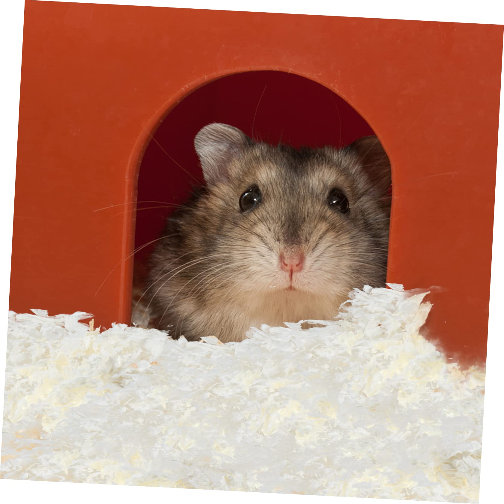 POPETPOP Hamsterstreu mit Geringer Staubentwicklung, 1 Pack, Papier, Weiß