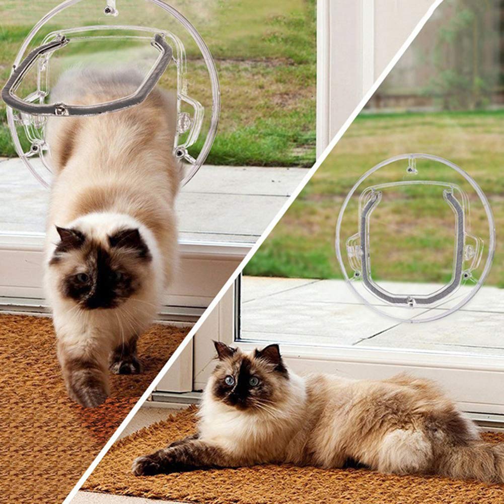 Gattaiola CEESC Con 4 Vie Chiusura - Porta Per Gatti XL Resistente Alle Intemperie - Foto 2