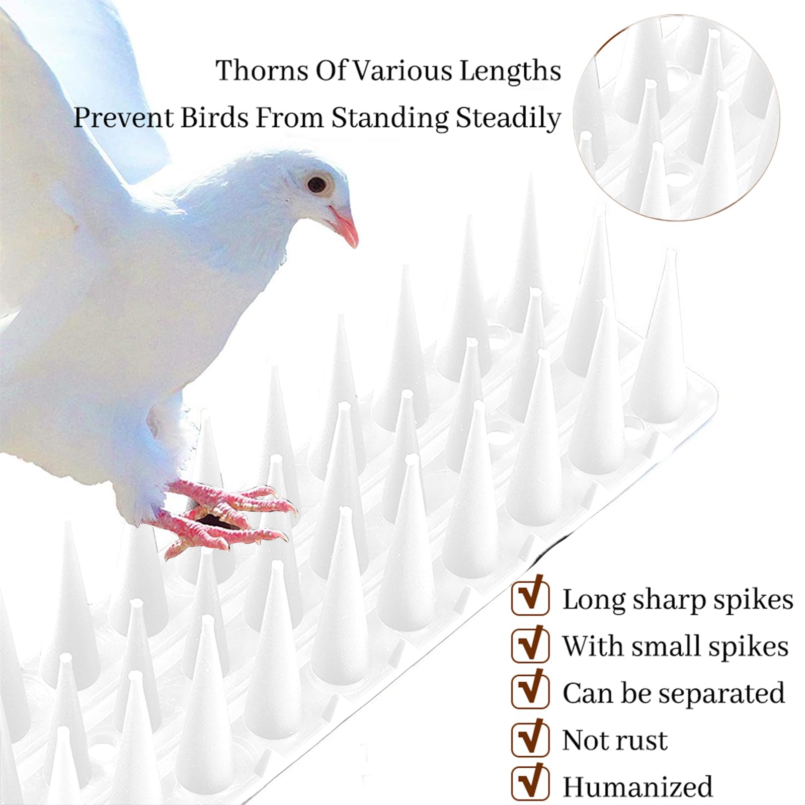 Barriere per Piccioni Plastica, Dissuasori per Uccelli 4.3 M, 10 PCS Spuntoni Anti Uccelli, Punte, Dissuasori per Gatti, Scaccia Piccioni per BalconeTerrazza Finestra (10, Trasparente)