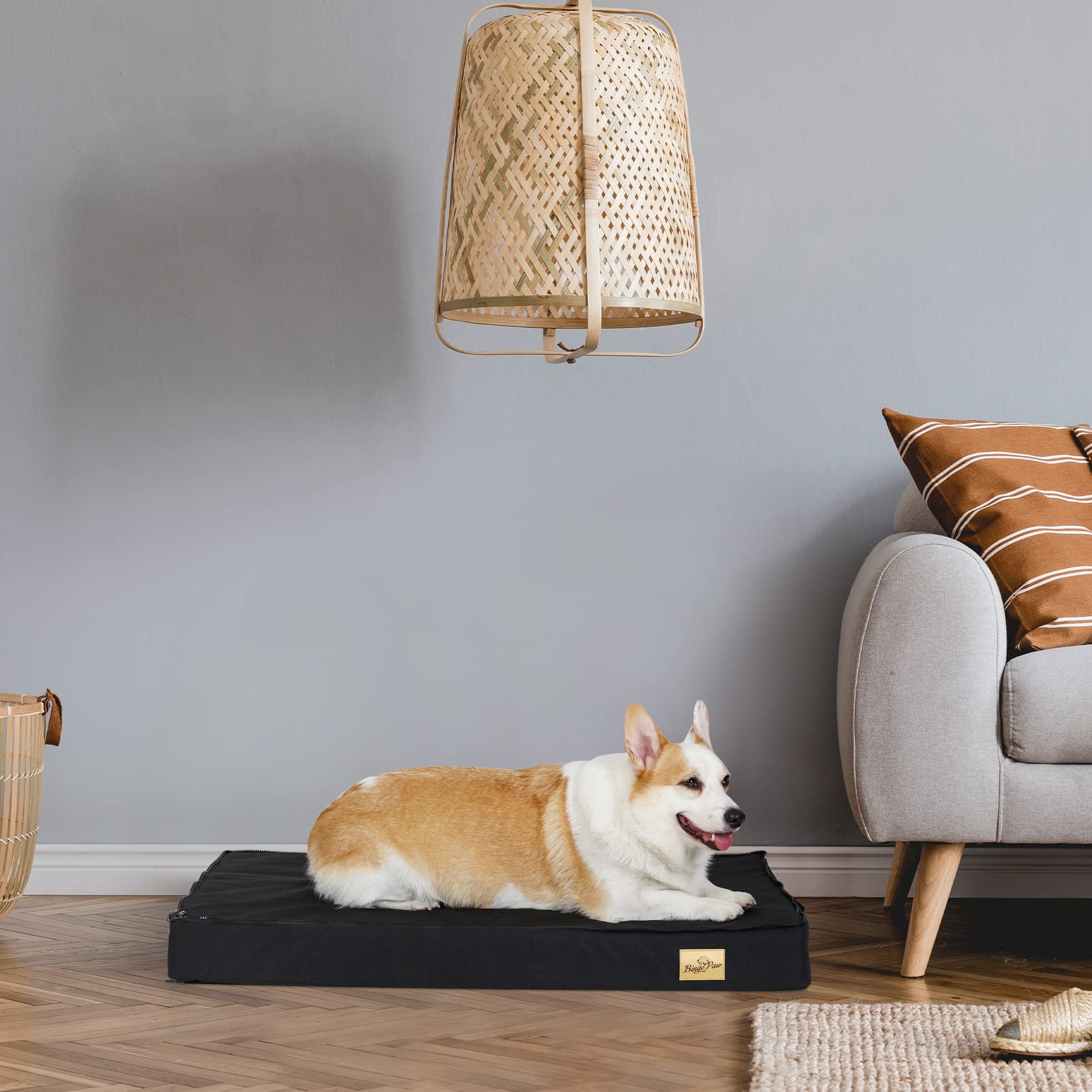 BingoPaw Cama Perro Medianos Grande Lavable Desenfundable 78x48x8cm Colchon Colchoneta Perro con Espuma Ortopedica Mediano Lujoso con Manta de Felpa Desmontable con Cierre Impermeable Antideslizante