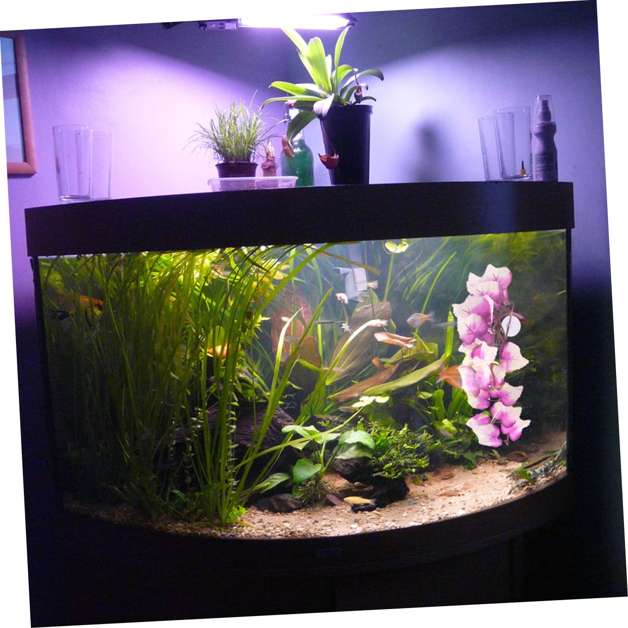 ABOOFAN 6piezas Artificiales Decorativas para Terrarios y Reptiles Decoración De Acuarios Falsas Resistentes y Adorno Natural para Hábitats De Mascotas