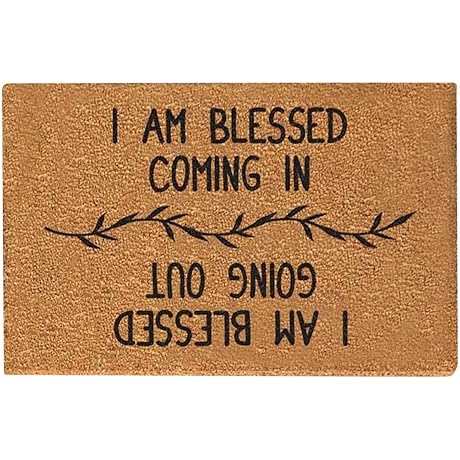 Doormat Funny Indoor Entrance Mats for Home