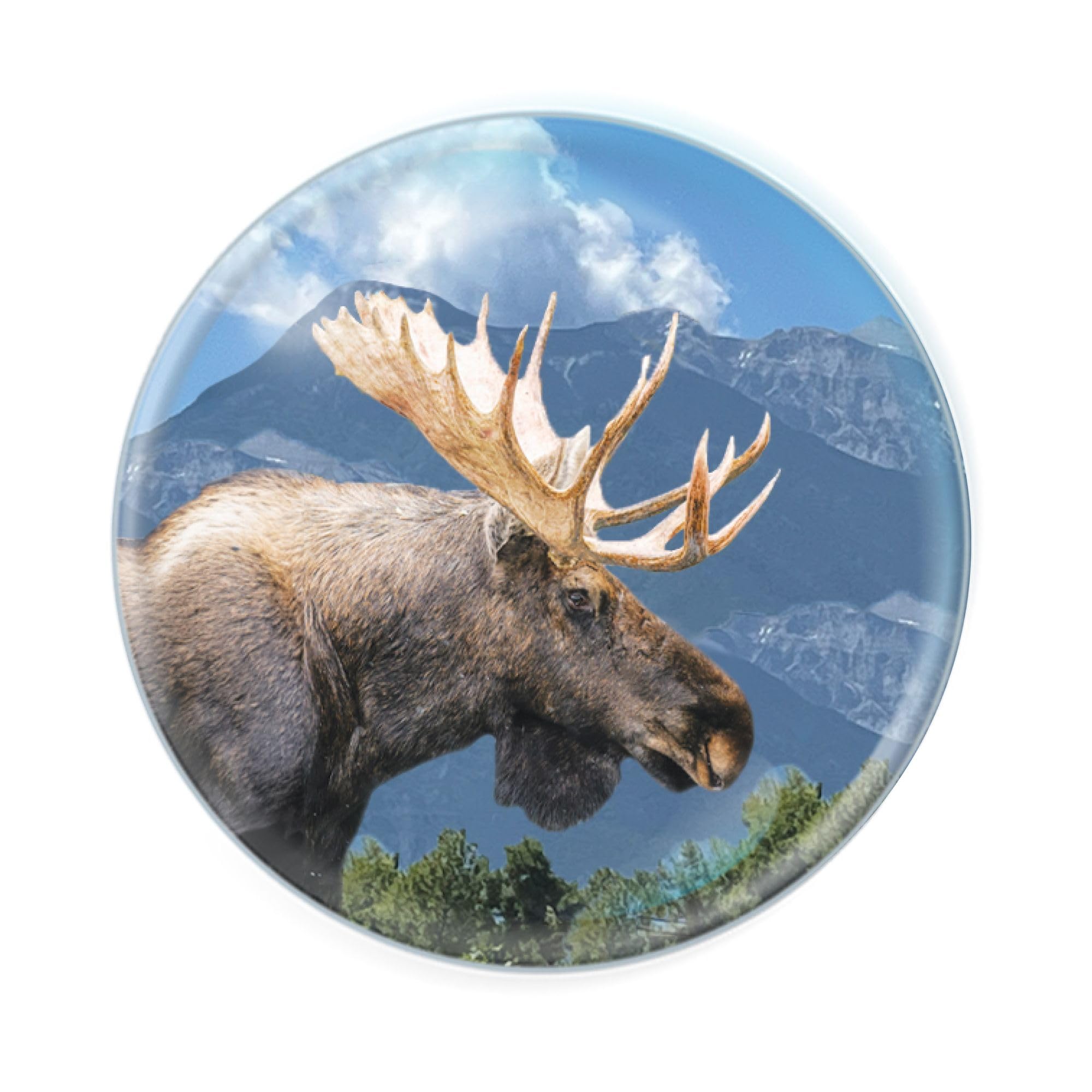 Deluxebase Magnidome Moose Fridge Magnet – Crystal Glass Dome Animal Magnets for Fridges, Decorative Strong Magnet for Kitchen Accessories, Novelty Gifts and Cute Home Decor.