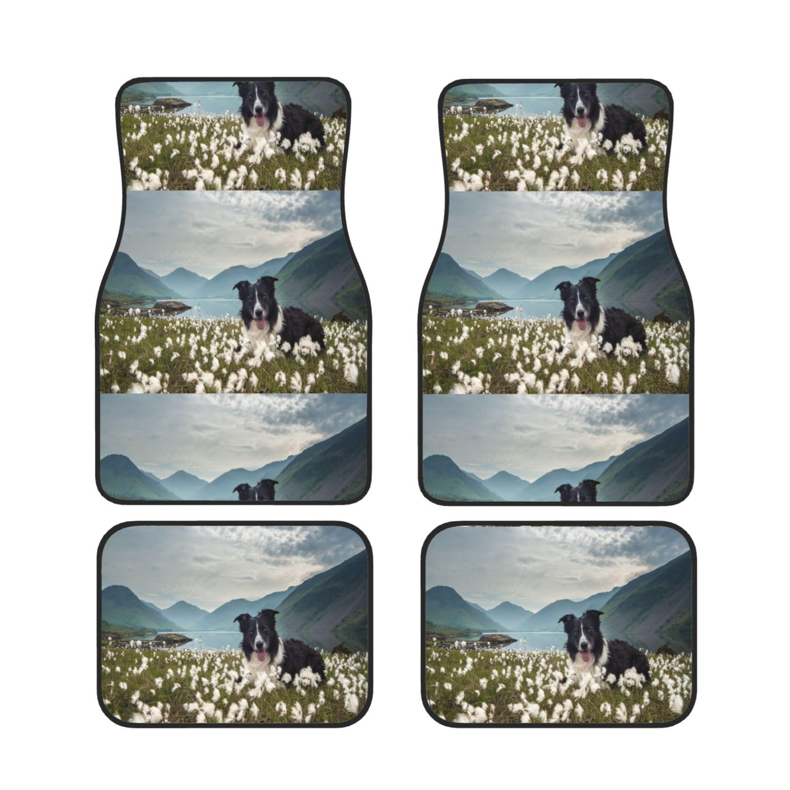Border Collie Hunde Haustiere Grasland Schwarzer Border, 4er-Set Auto-Fußmatten, Neopren-Fußmatten für Fahrzeuge, rutschfeste Auto-Fußmatten, Autozubehör