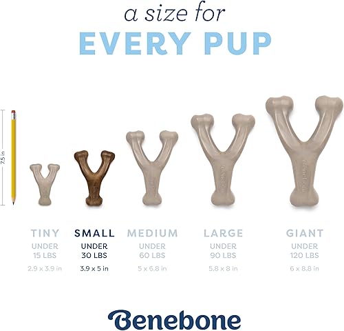 Vista 38 de Benebone Puppy Wishbone - Juguetes masticables para perros, más suaves para masticadores modestos, fabricados en Estados Unidos, mediano