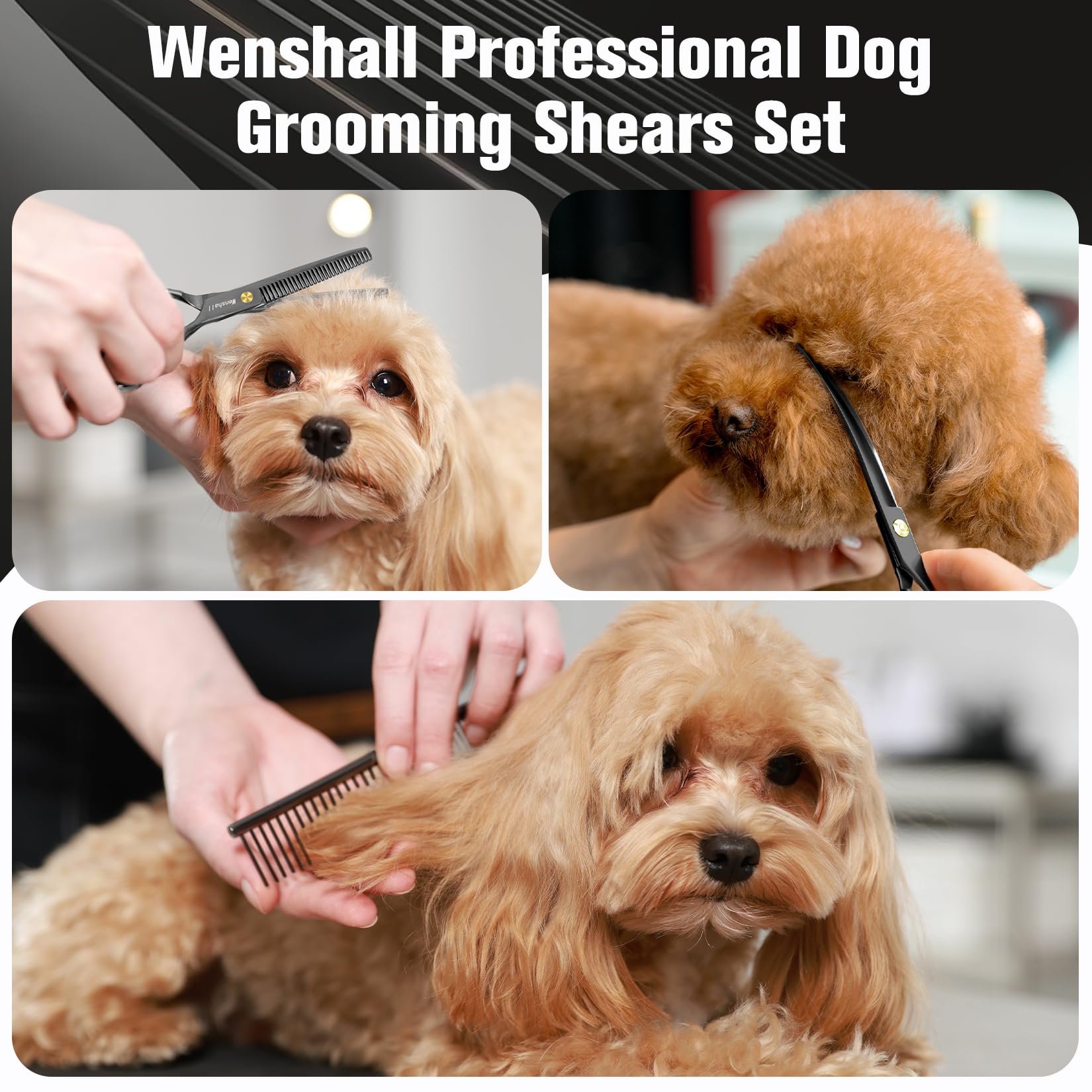 Wenshall Lot de 5 paires de ciseaux de toilettage pour chien 17,8 cm, ciseaux droits, ciseaux à effiler et ciseaux incurvés, hachoir et peigne