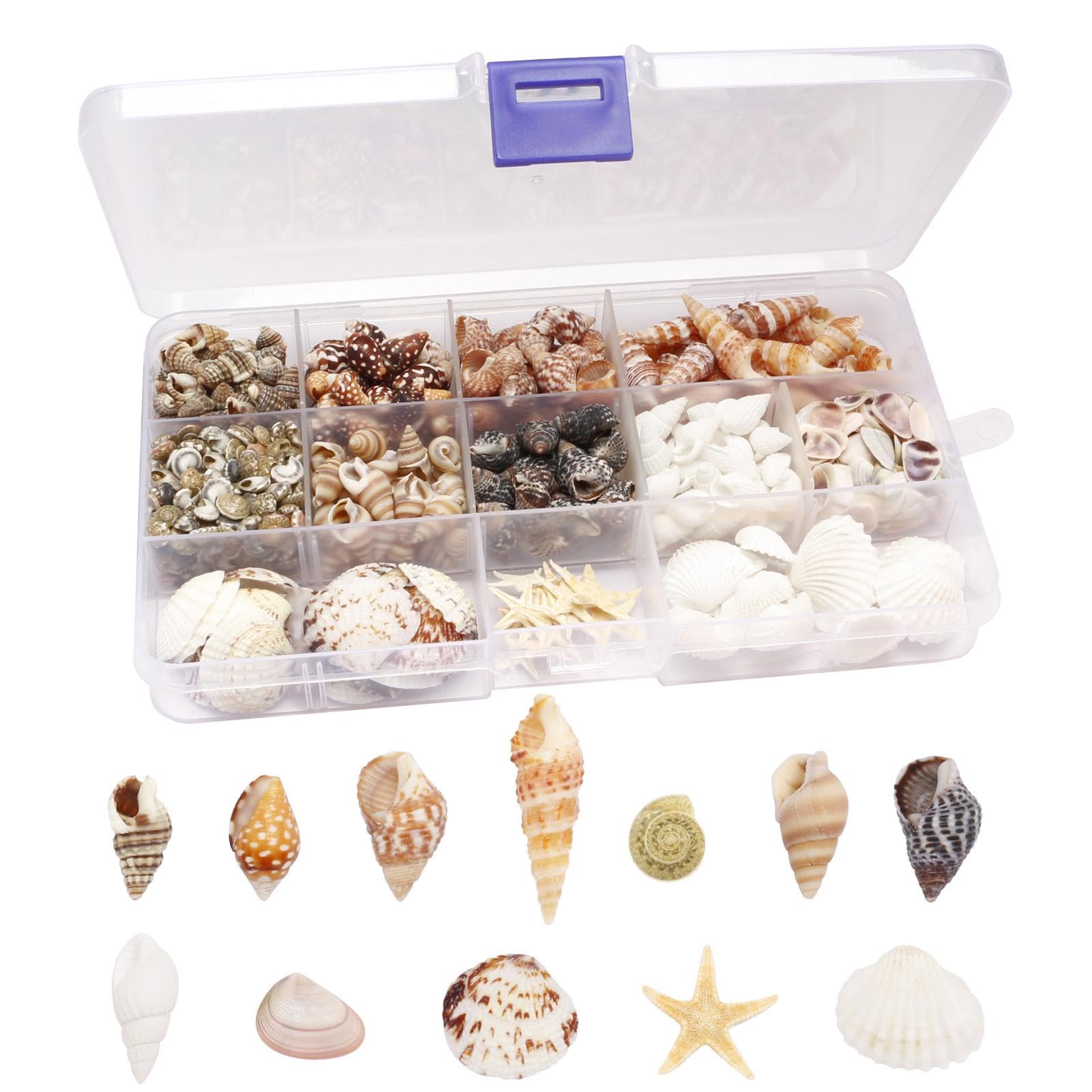 Veehaolu 525 Pcs Mixed Sea Shells and Starfish Beach Seashells for Ocean Theme Party Wedding Decor, DIY Crafts Candle Making, Fish Tank Vase Fillers, Home Decor Supplies