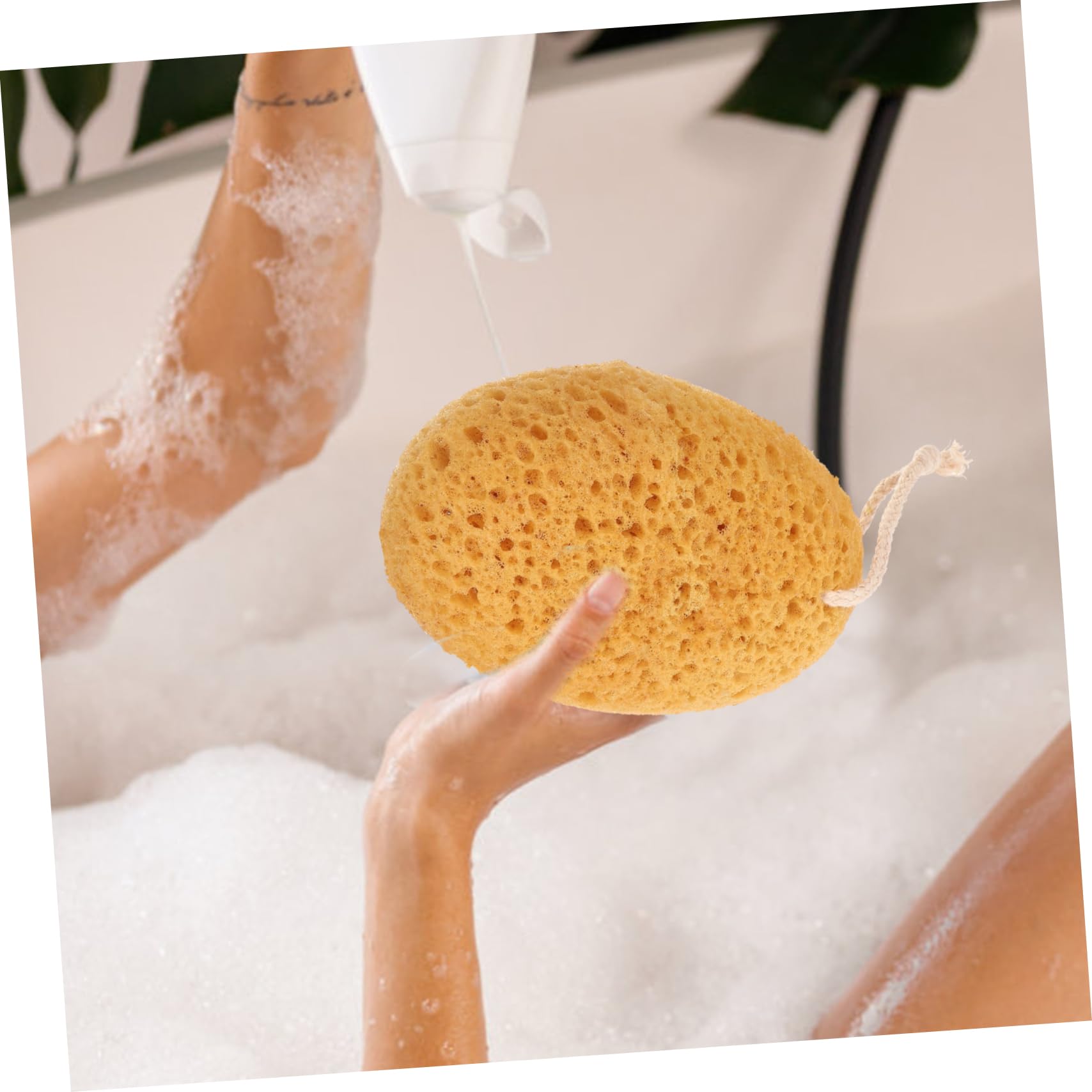 Healeved 5 Juegos Esponja Con Textura De Pared Esponjas De Baño Herramienta De Baño De Ducha De Exfoliante Corporal s De Para 2 piezas * 5