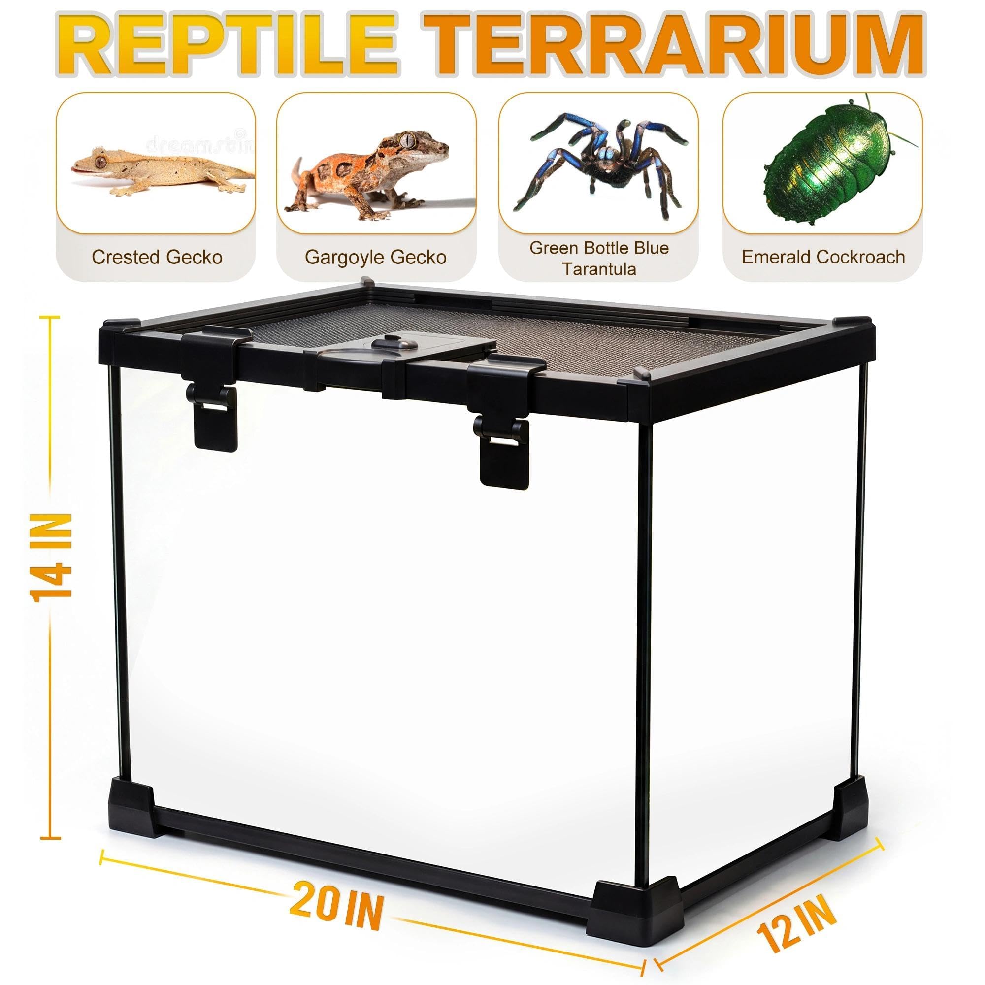 Mini terrario de vidrio para reptiles, vivero, tanque de visión completa, jaula de hábitat de vidrio para anfibios con ranura de alimentación y hebilla de bloqueo de caja (50.8 cm de