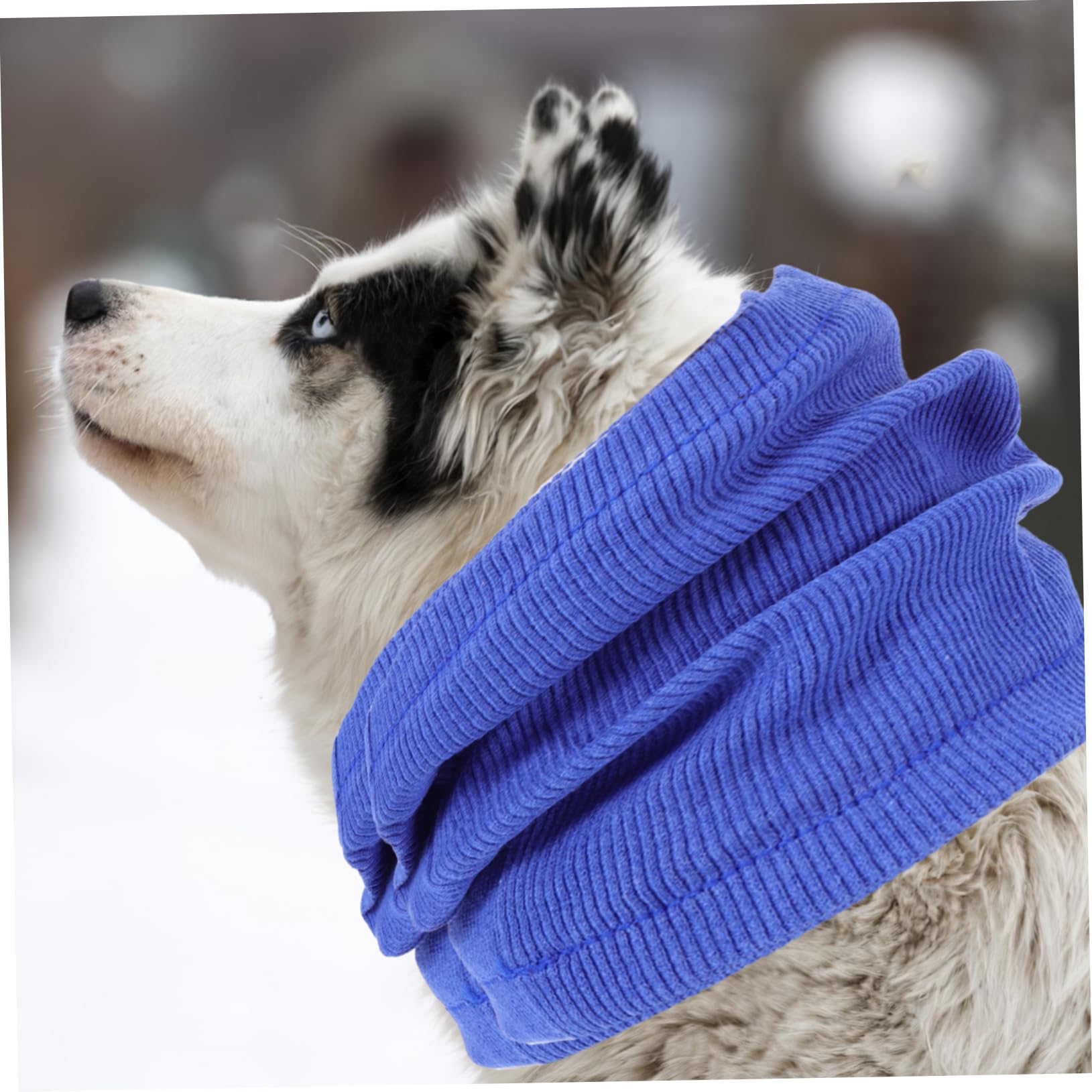 5piezas Earmuffs para Perros Protección y Térmica para Mascotas Cubierta De Oído para Baño y Ruido Diseño y Cómodo Mediano