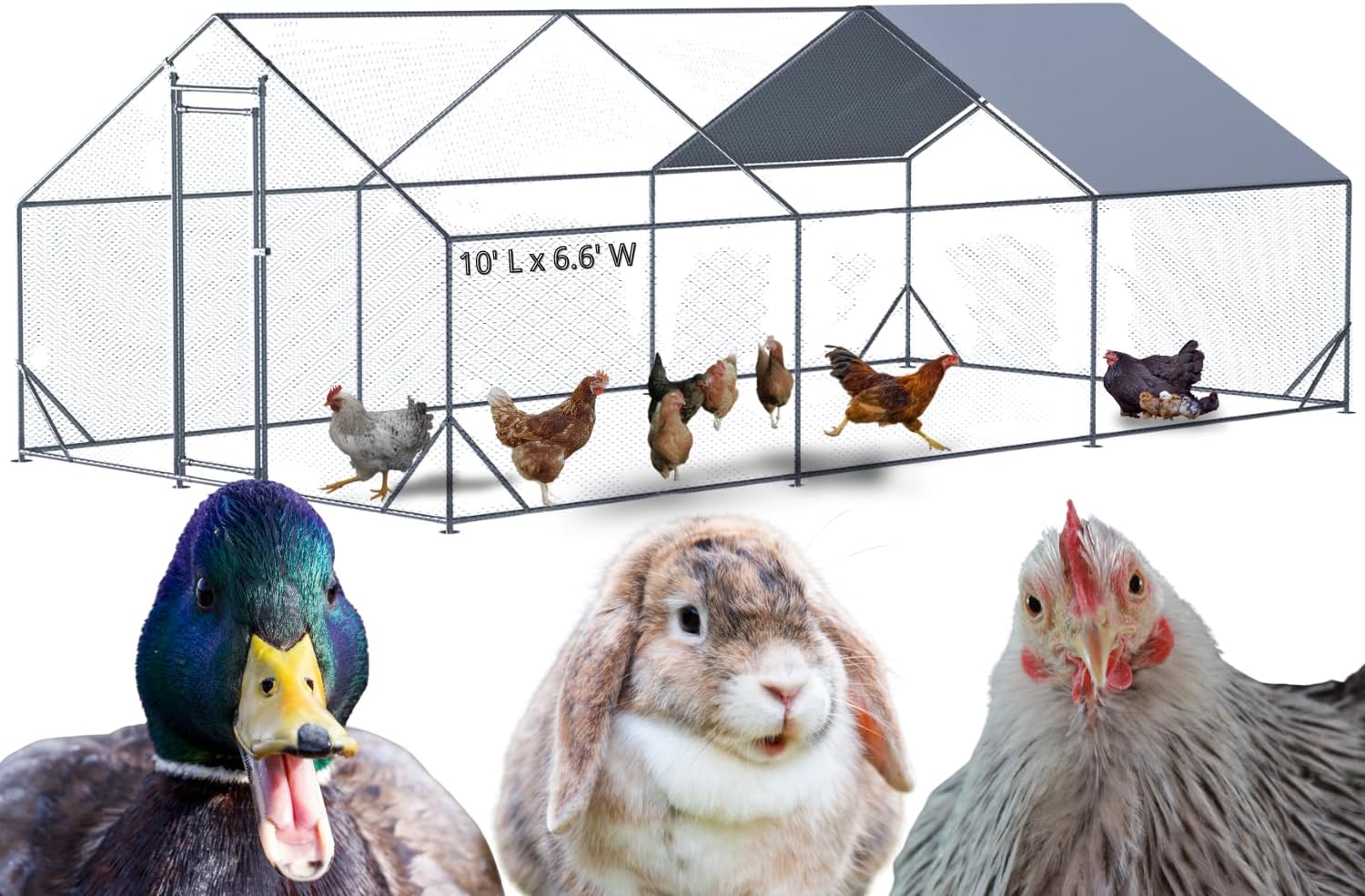 Large Walk-in Chicken Coop for Outdoors, 10'x6.6'x6.56' Heavy Duty Metal Hen House with UV-Resistant & Waterproof Cover, Galvanized Wire Chicken Run Cage for Poultry, Ducks, Rabbits