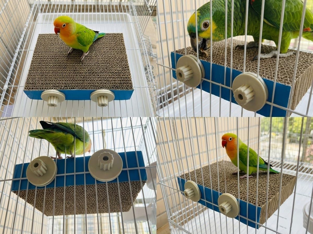 Shreddable Parrot Perch Toy, Cardboard Chewing & Foraging Platform for Beak Filing and Stress Relief in Cockatiels, Parakeets, Conures (Medium) - image 5