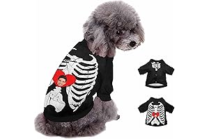 Personalized Mexico Dog Jersey for Small Dogs