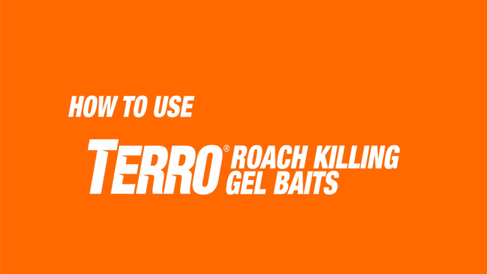 Amazon.com: TERRO: Roach