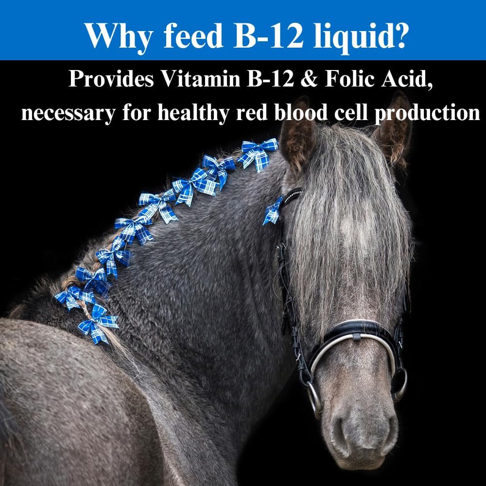 SU-PER B-12 Energy Horse Supplement - Equine Vitamins B-12 & B-9 Folic Acid Support Liquid - Red Blood Cell Production & Stamina Support for Peak Performance - Gallon, 4 Month Supply (120 Days)