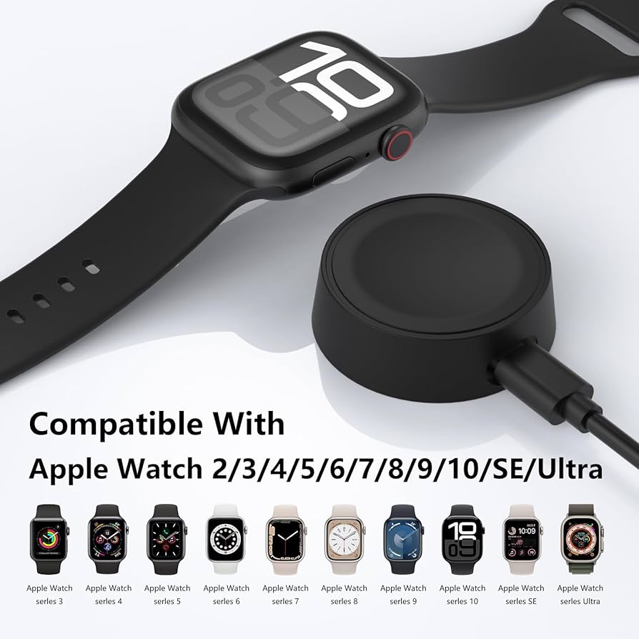 即日発送 タイニー アップルウォッチ ダブルロック式 アダブタ付き