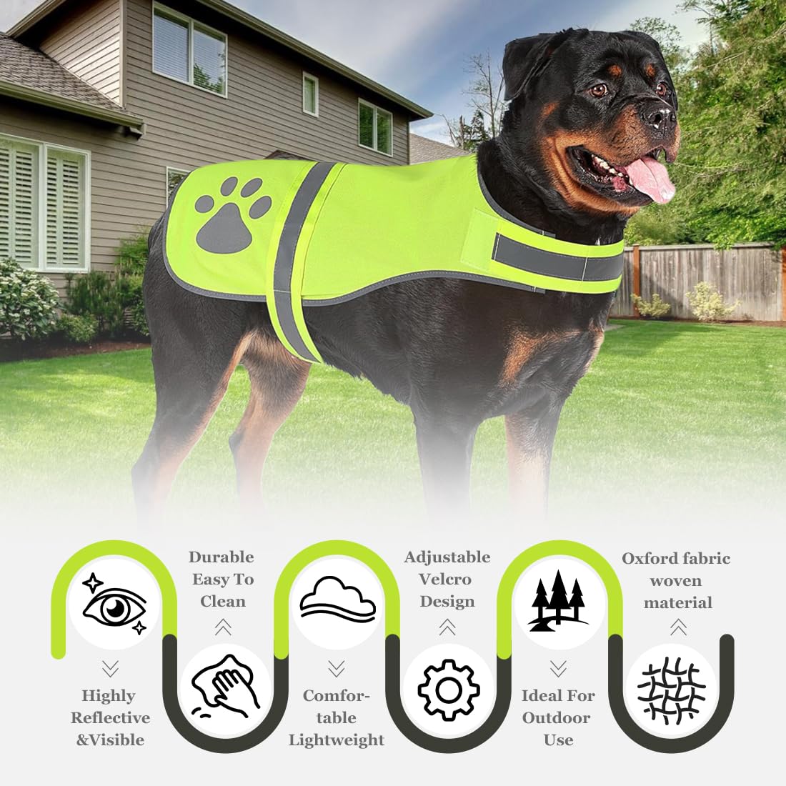 Giubbotti di sicurezza per cani Giubbotto di sicurezza riflettente per cani, alta visibilità notturna, impermeabile, leggero, comodo (taglia M)