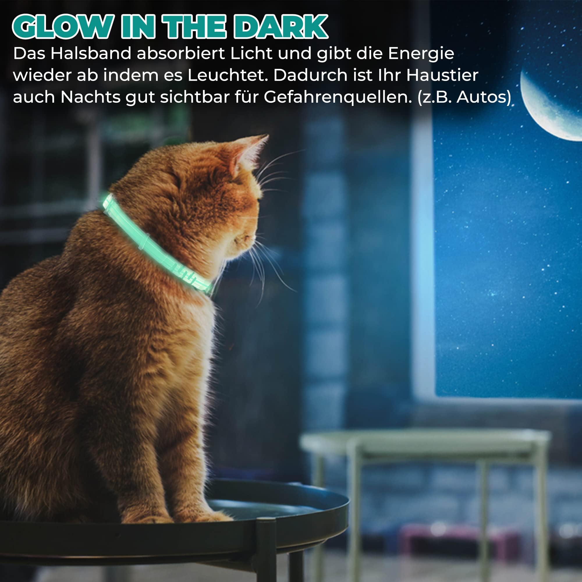 Zeckenhalsband für Hunde und Katzen | Leuchtendes Präventionshalsband gegen Parasiten mit bis zu 8-Monatigen Schutz | Fluoreszierendes Halsband universell auf Jede Größe verstellbar