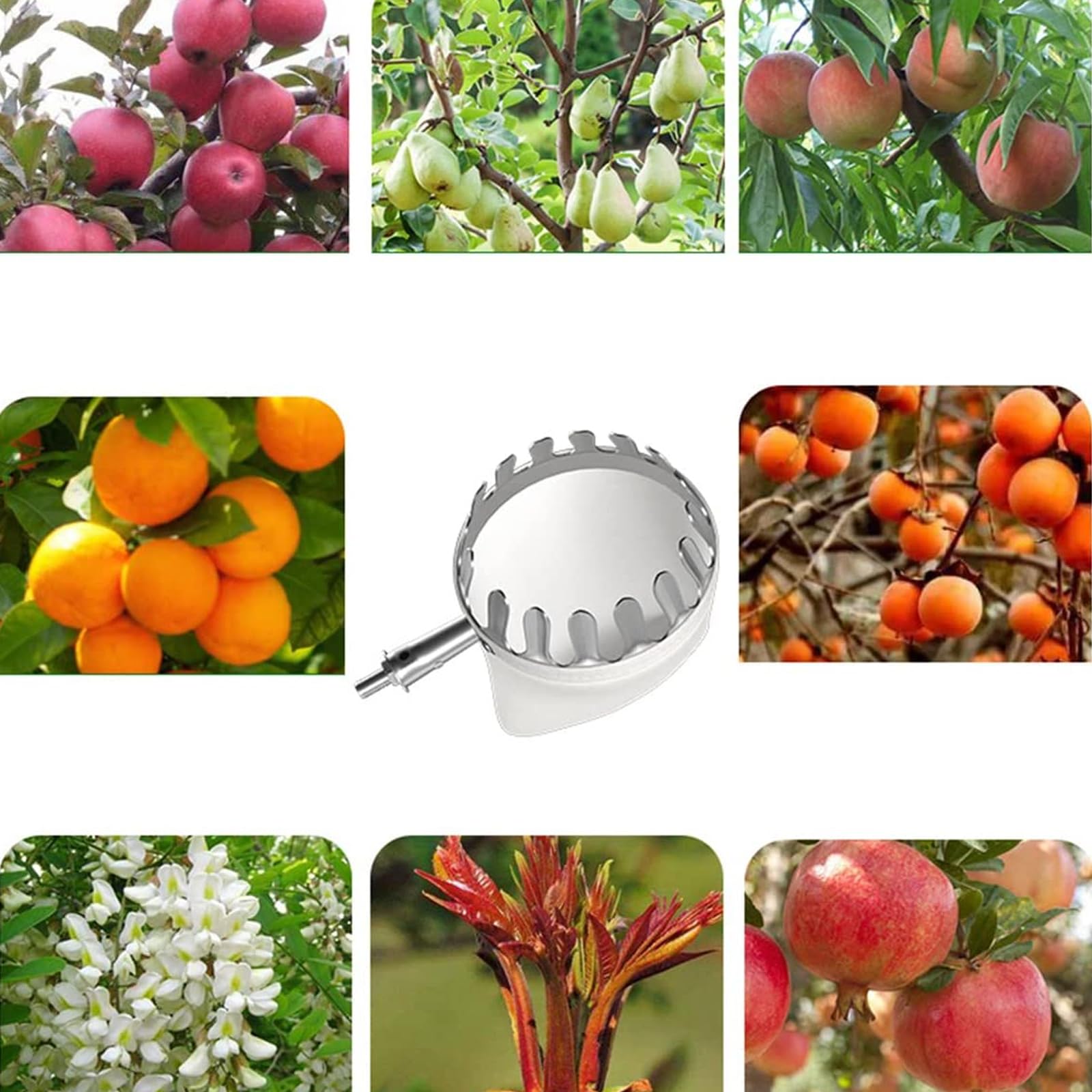 16 ft, Raccoglifrutta Telescopico,Raccogli Frutta Telescopico con Borsa in Cotone, Raccoglitore Frutta Extra Lungo per La Raccolta di Mele Arance Limoni Pere