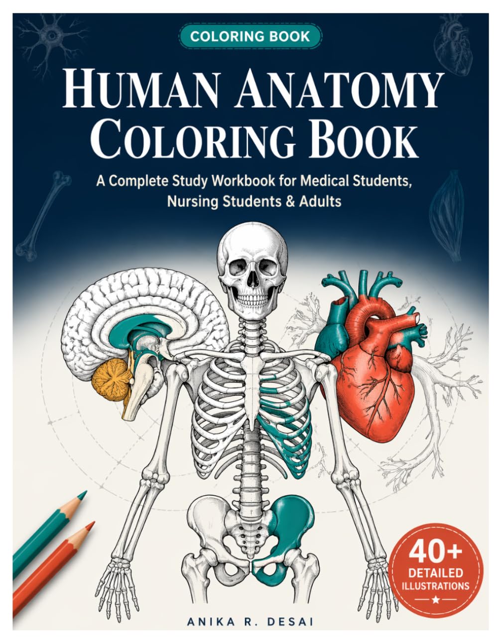 Human Anatomy Coloring Book: A Complete Anatomy and Physiology Coloring Workbook — Detailed Illustrations of Skeletal, Muscular & Body Systems for ... | Organs, Bones, Joints & Veterinary Anatomy