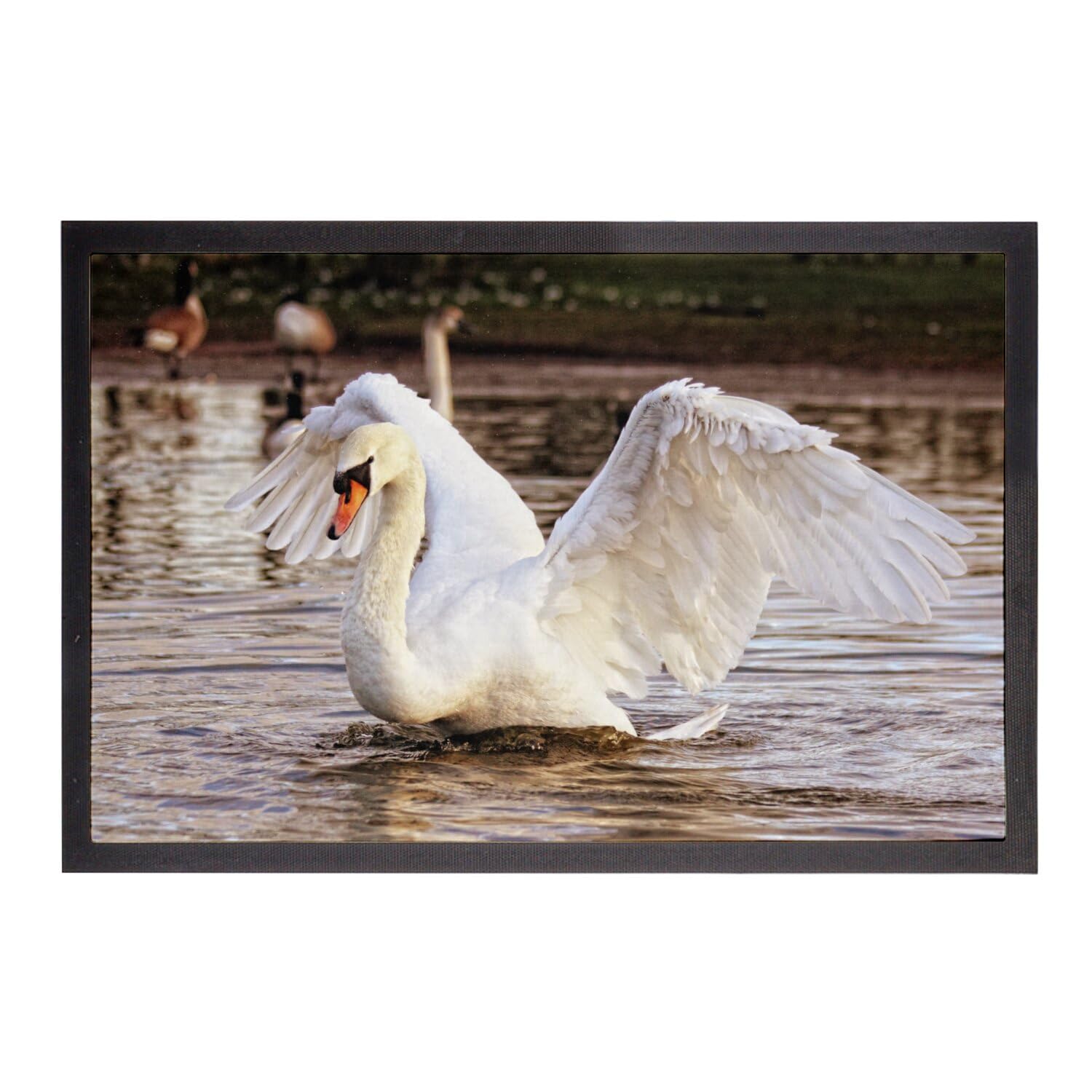 Paillasson cygnes anti-poussière 60x40 cm tapis d'entrée vie sauvage lac