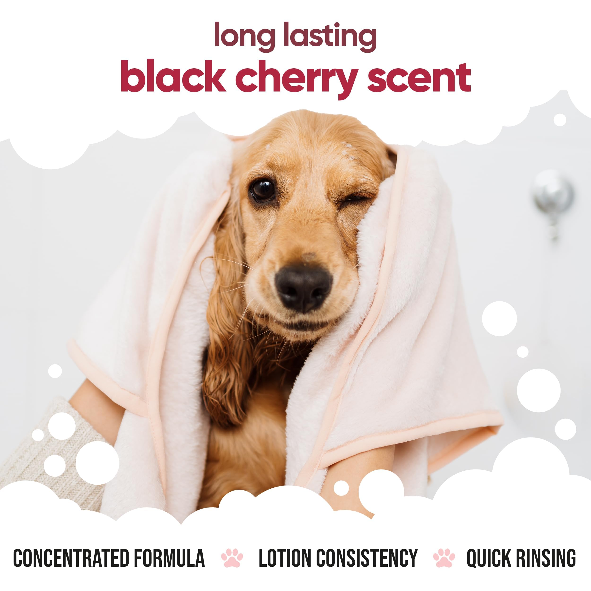 Black Cherry Dog Conditioner von Buddycare - 5L - Schwarzkirsch-Duft-Hundespülung mit Aloe Vera & Pro Vitamin B5