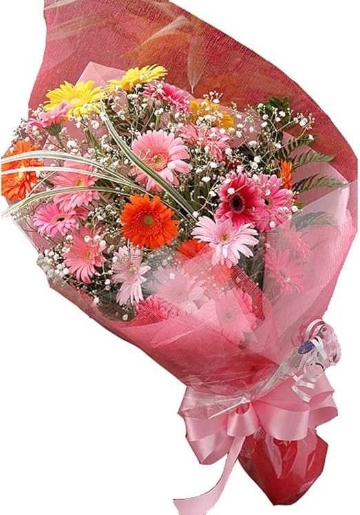 Amazon カラフルな花色で人気ナンバーワン フラワーシャワー 季節の花ガーベラ花束 花束 オンライン通販 Amazon カラフルな花色で人気ナンバーワン フラワーシャワー 季節の花ガーベラ花束 花束 オンライン通販