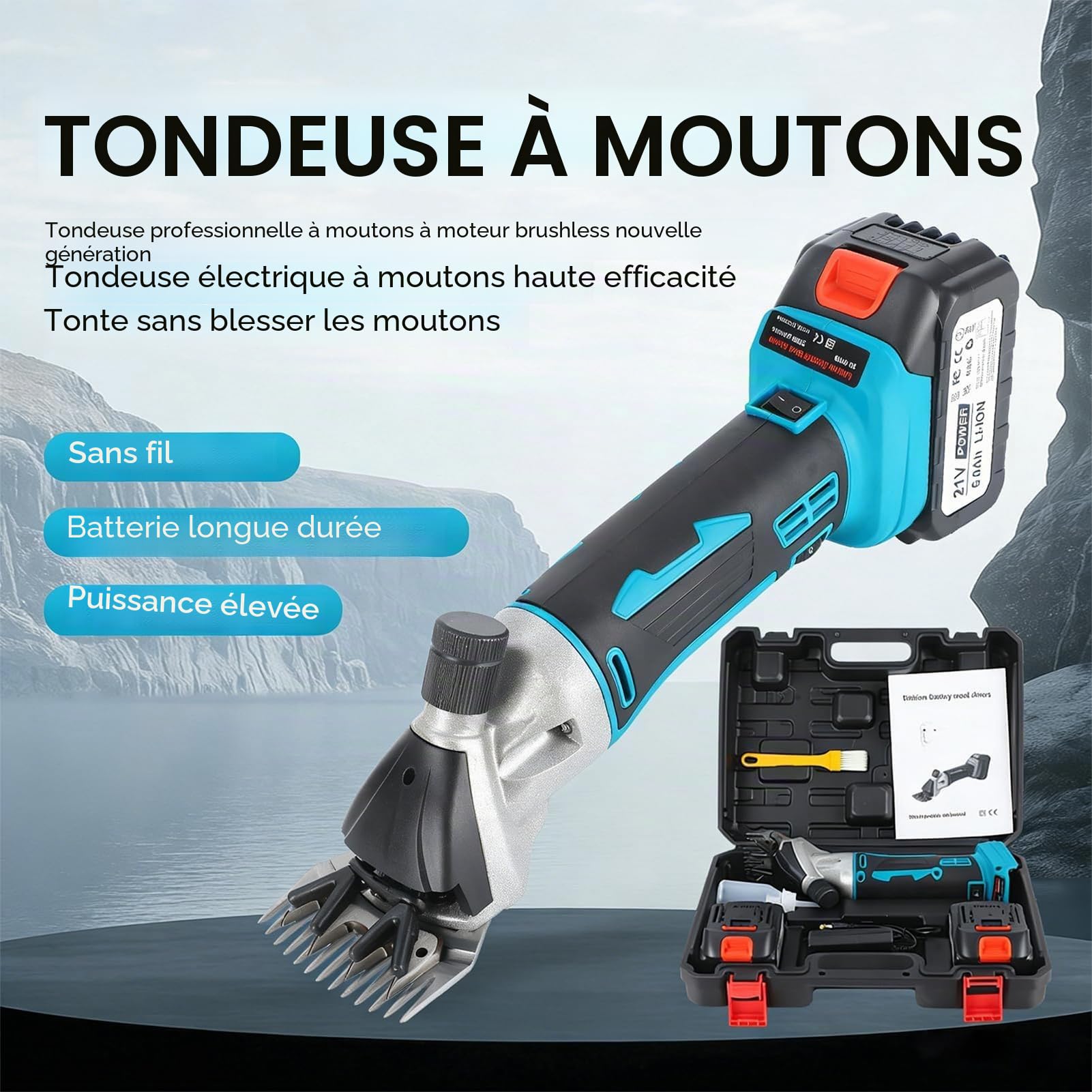 Tondeuse à Mouton Sans Fil 800W, Tondeuse à Laine Électrique avec Réglage à 6 Vitesses & Lame 9/13 Dents, Espacement de Lame Réglable, Tondeuses pour Moutons/Chèvres/Bovins/Ferme/A 13-Tooth-1 Battery