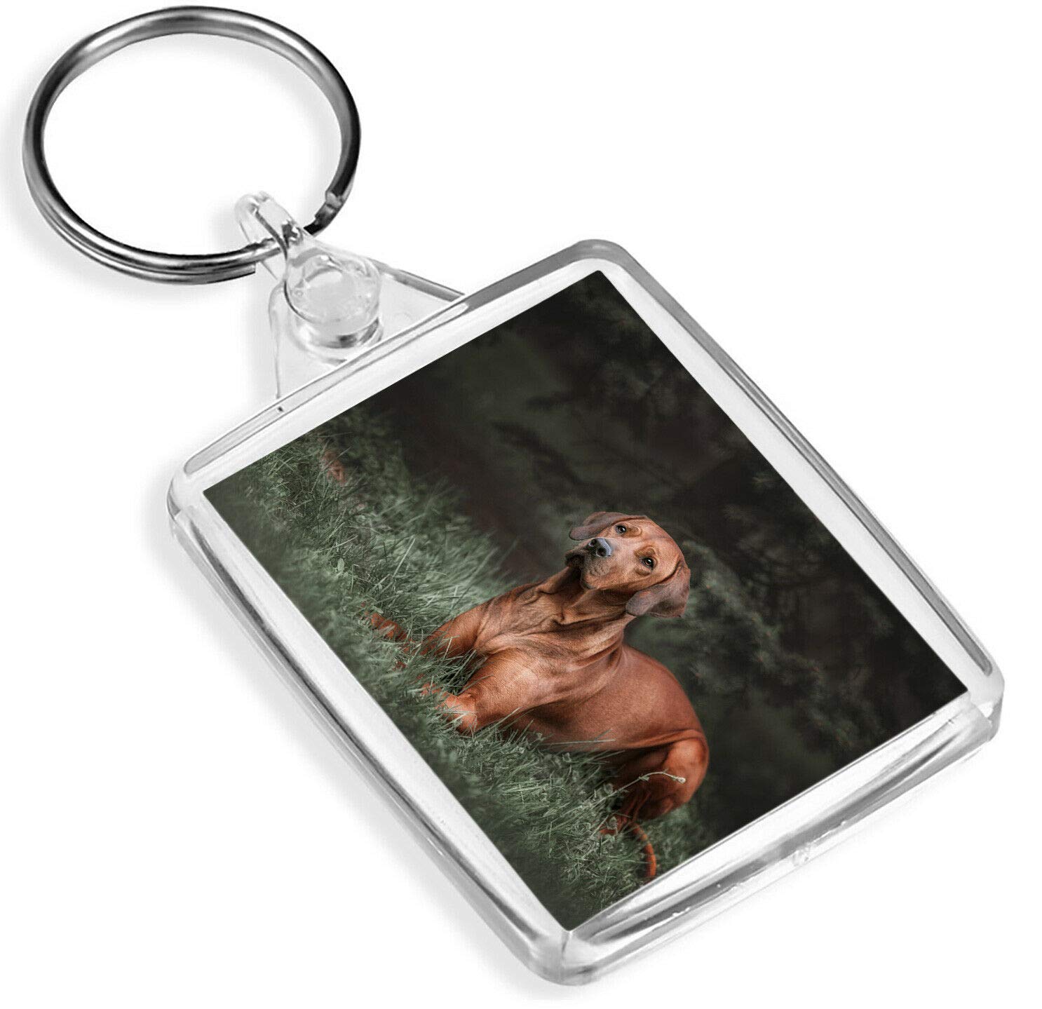 Rhodesian Ridgeback Dog Keyring - IP02 - Cute Puppy Dogs Pets Lover #16679