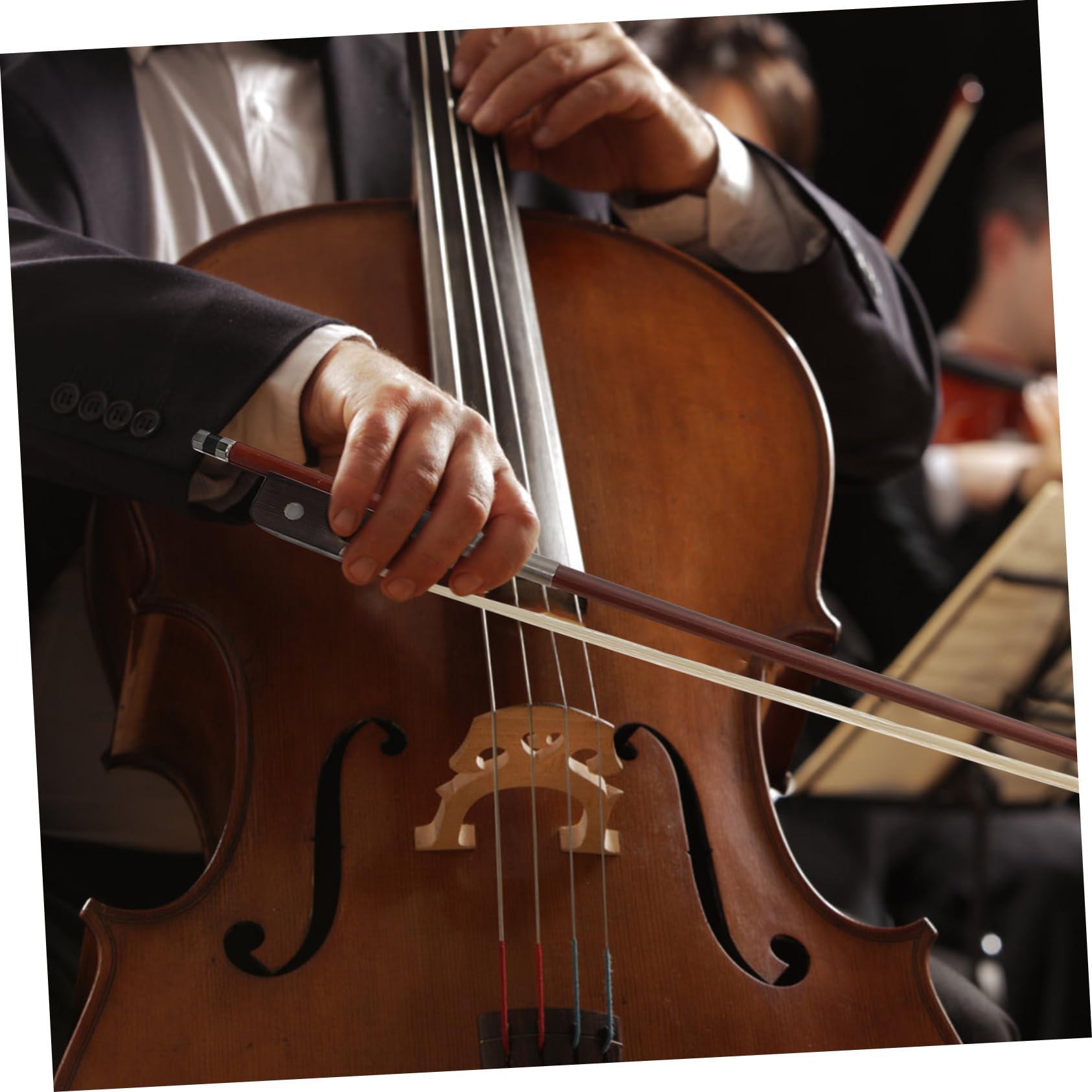 2piezas De De Pelo Para Para Práctica y Composición Diseño Ergonómico y