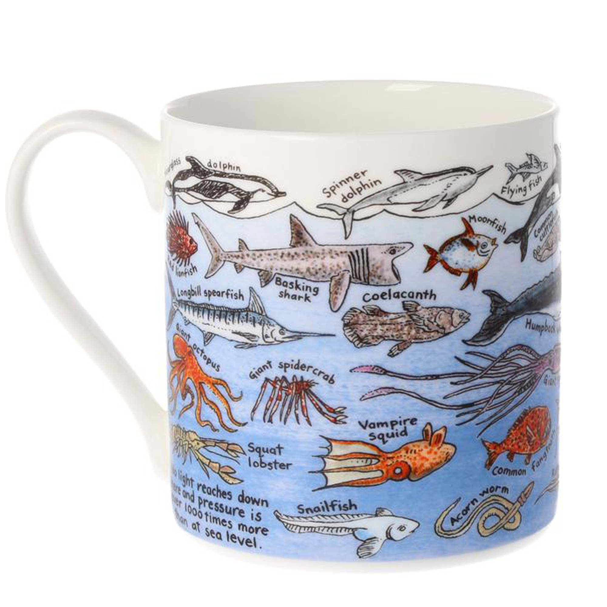 Picturemaps Ocean Life, Fine Bone China Mug