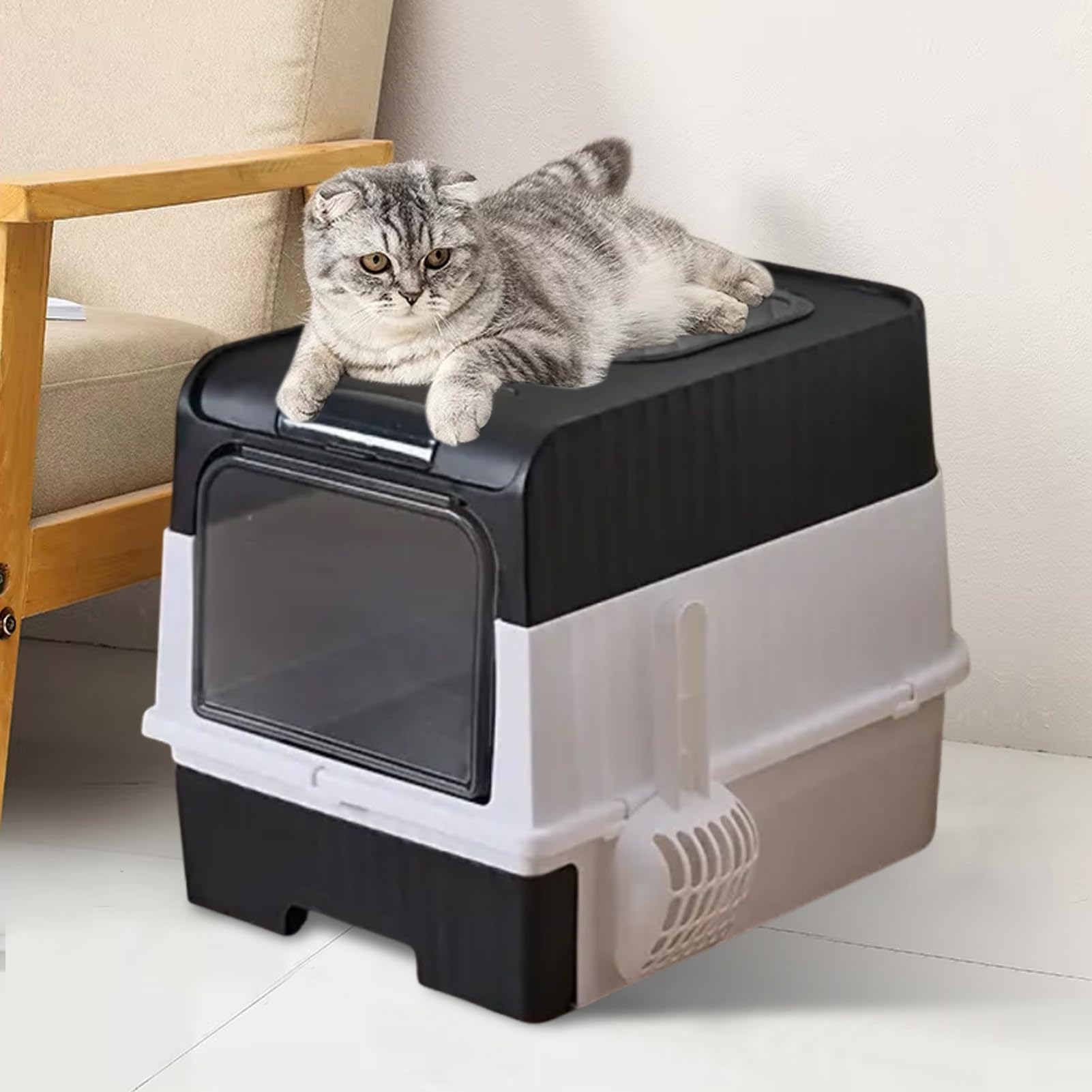 Lettiera per gatti con coperchio, filtro ai carboni attivi, lettiera chiusa, con filtro, toilette antiodore per gatti, scatola igienica igienica con entrata